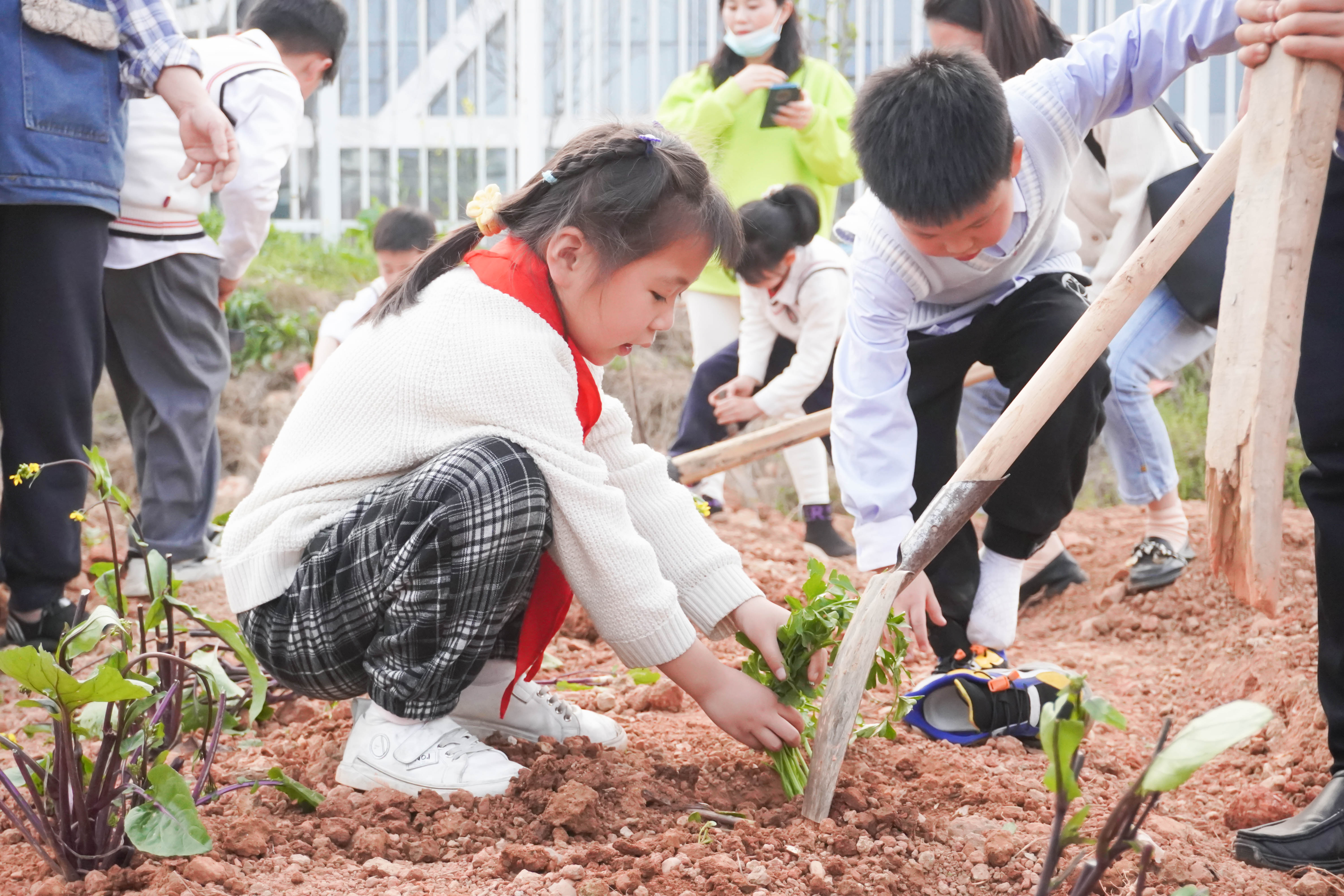 植树节 | 我们这样赴一场春天的约会……